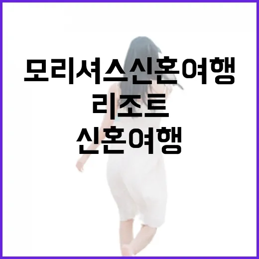 모리셔스신혼여행, 리조트 밖 동네길까지 걸어봤더니 남은 것들 - 요약