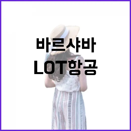 LOT항공 타고 바르샤바 골목까지 가봤더니 남은 건 조용한 아침이었다 - 요약