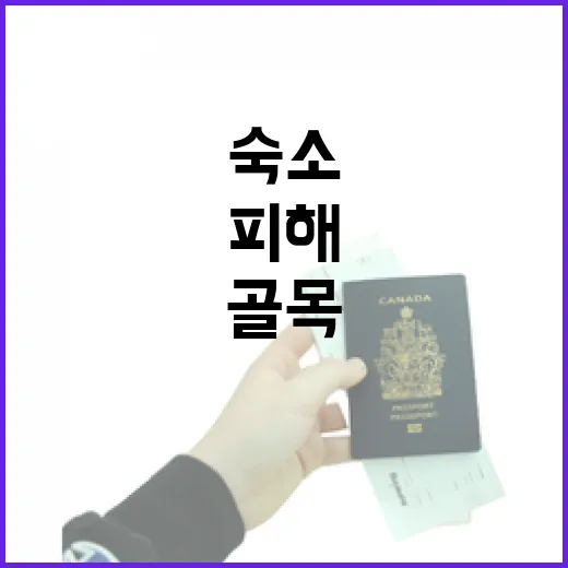 호텔스에서 번화가를 피해 골목 숙소만 골라 묵어봤더니 - 요약