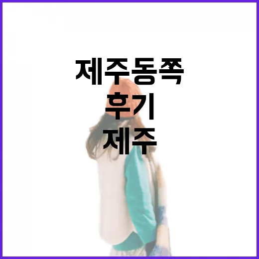 티웨이항공특가 잡고 제주 동쪽 동네를 천천히 걸어본 후기 - 요약