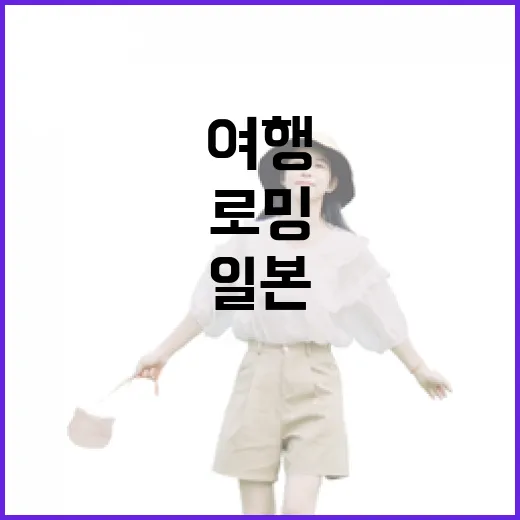 일본 골목 여행하며 로밍 직접 써봤더니, 사람 적은 동네에서 더 차이가 났다 - 요약