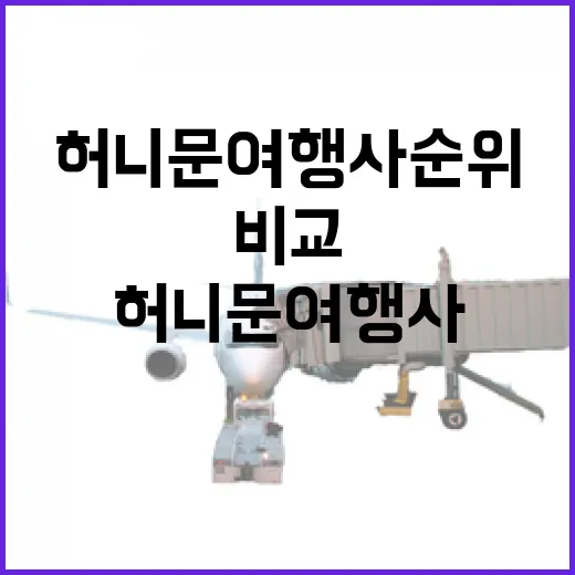 허니문여행사순위만 믿고 골랐다가, 동네 여행 취향으로 다시 비교해본 이야기 - 요약