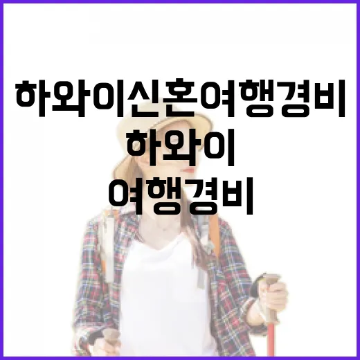 하와이 신혼여행 경비, 와이키키 밖으로 걸어 다녀봤더니 달라진 것들 - 요약