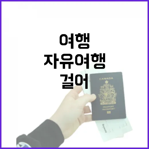 자유여행으로 골목만 걸어봤더니, 여행이 조금 조용해졌다 - 요약