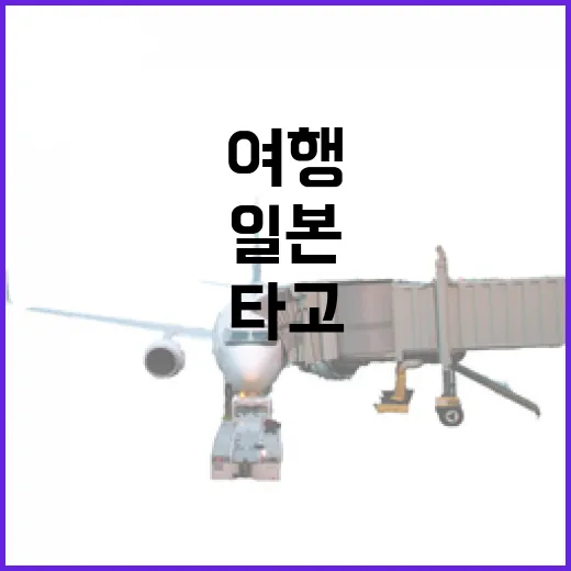 아나항공 타고 일본 골목 여행을 시작해봤더니, 조용한 이동이 먼저 남았다 - 요약