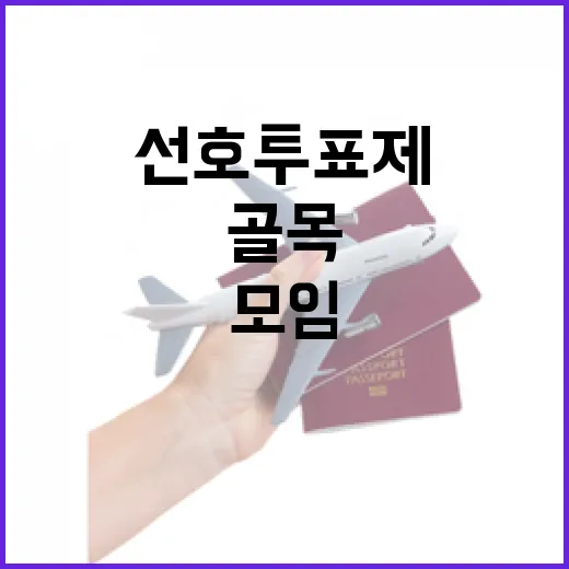 동네 골목 모임에서 선호투표제를 직접 겪어봤더니 - 요약