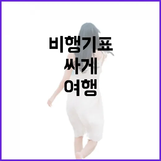 비행기표를 싸게 끊으려다 골목 여행이 더 좋아진 이야기 - 요약