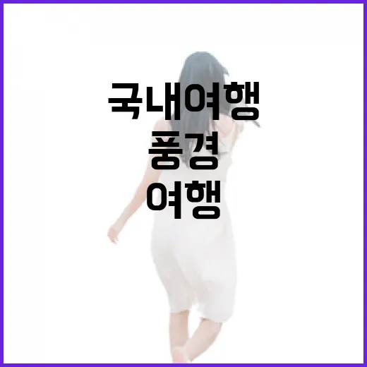 유명한 곳을 비켜 걸었더니 보였던 국내여행의 진짜 풍경 - 요약