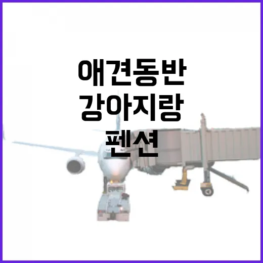 강아지랑 조용한 애견동반펜션에 묵어봤더니, 여행이 조금 느려졌다 - 요약