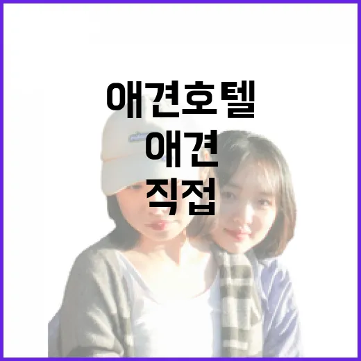 동네 애견호텔을 직접 둘러봤더니, 조용한 곳은 따로 있었다 - 요약