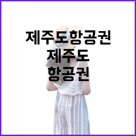 제주도항공권특가만 보고 떠났다가, 조용한 동네 길을 더 오래 걷게 된 이야기 - 요약