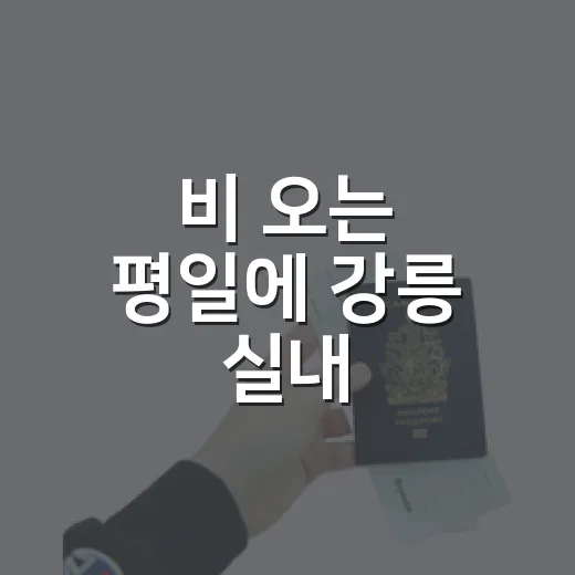 비 오는 평일에 강릉 실내 가볼만한곳만 조용히 걸어봤더니 - 요약
