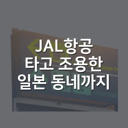 JAL항공 타고 조용한 일본 동네까지 들어가봤더니 보인 것들 - 요약