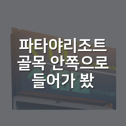 파타야리조트 골목 안쪽으로 들어가 봤더니 바다가 조금 조용해졌다 - 요약