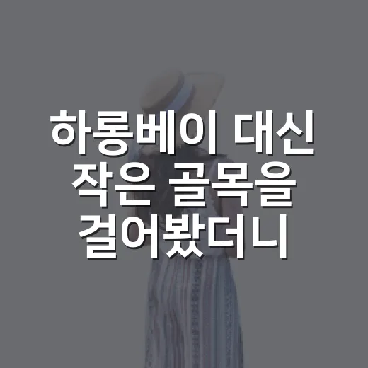 하롱베이 대신 작은 골목을 걸어봤더니, 베트남여행지추천이 조금 달라졌다 - 요약