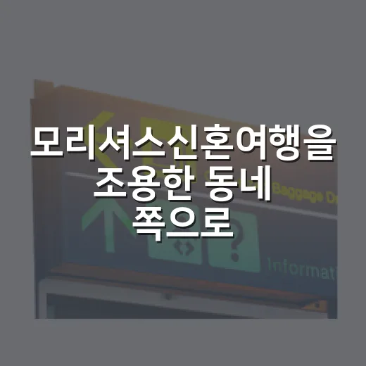 모리셔스신혼여행을 조용한 동네 쪽으로 걸어봤더니 보였던 것들 - 요약