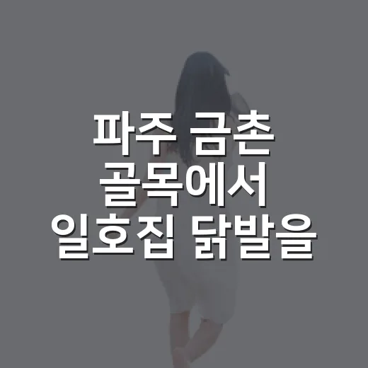 파주 금촌 골목에서 일호집 닭발을 먹고 천천히 걸어봤더니 - 요약