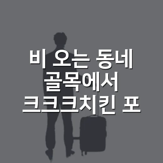 비 오는 동네 골목에서 크크크치킨 포장해 먹어봤더니 - 요약