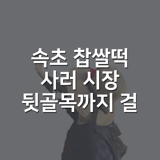 속초 찹쌀떡 사러 시장 뒷골목까지 걸어가 봤더니 - 요약