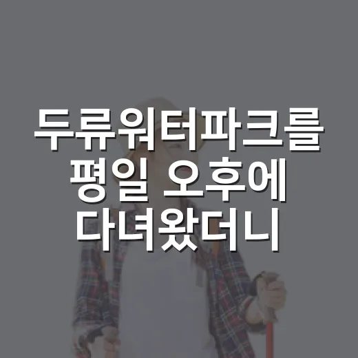 두류워터파크를 평일 오후에 다녀왔더니 보인 대구 여름의 조용한 얼굴 - 요약