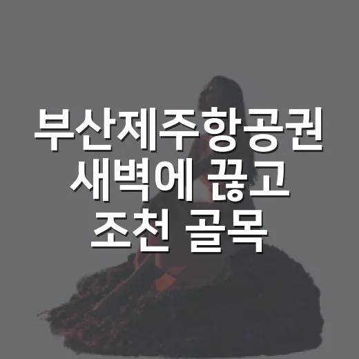 부산제주항공권 새벽에 끊고 조천 골목까지 걸어본 후기 - 요약