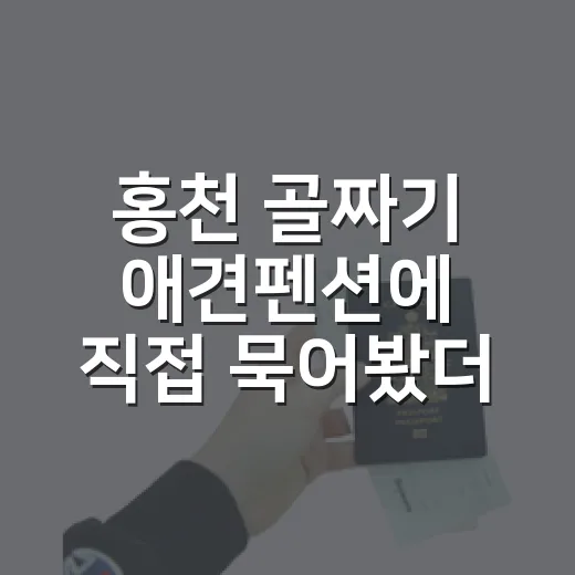 홍천 골짜기 애견펜션에 직접 묵어봤더니, 조용한 여행은 이런 얼굴이었다 - 요약
