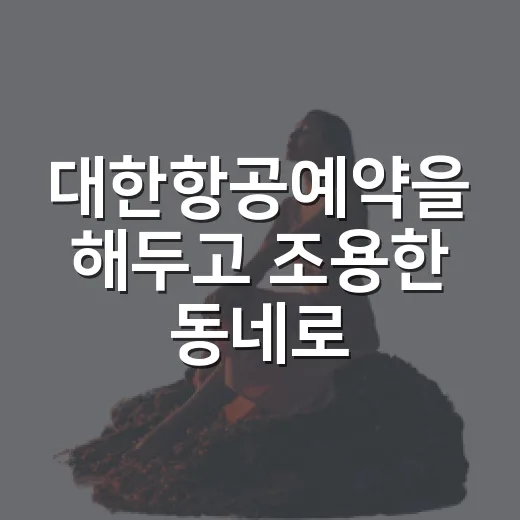 대한항공예약을 해두고 조용한 동네로 흘러가봤더니 남은 것들 - 요약