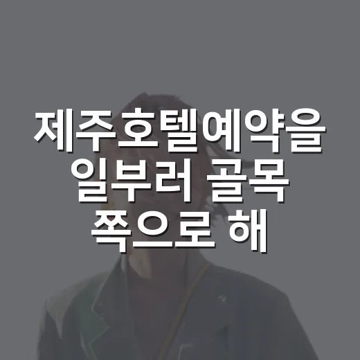 제주호텔예약을 일부러 골목 쪽으로 해봤더니 보인 것들 - 요약