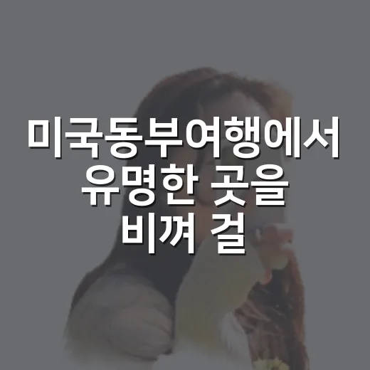 미국동부여행에서 유명한 곳을 비껴 걸어봤더니 남은 장면들 - 요약
