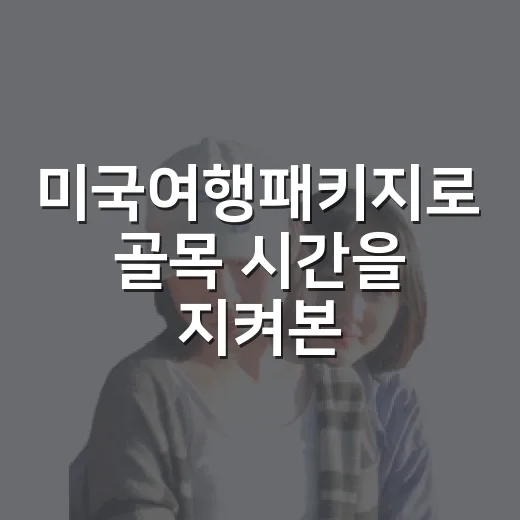 미국여행패키지로 골목 시간을 지켜본 후기 - 요약