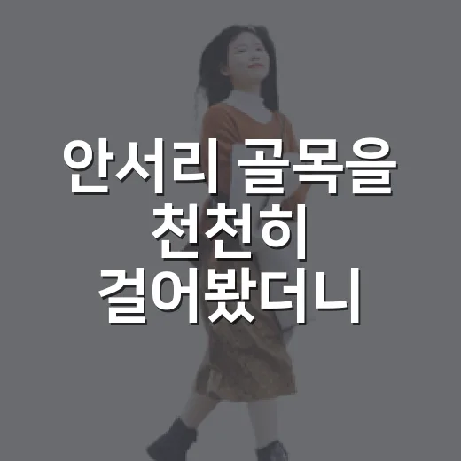 안서리 골목을 천천히 걸어봤더니, 대학가 뒤편에 남은 조용한 하루 - 요약