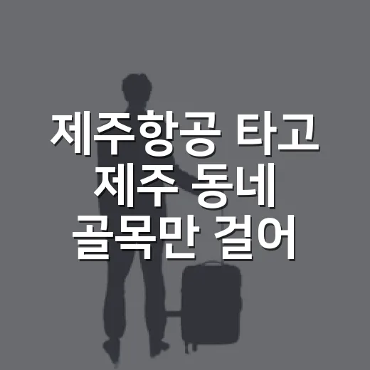 제주항공 타고 제주 동네 골목만 걸어봤더니 남은 것들 - 요약