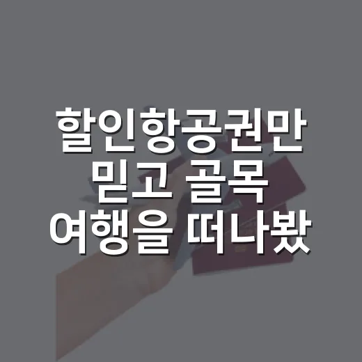 할인항공권만 믿고 골목 여행을 떠나봤더니 생긴 일 - 요약