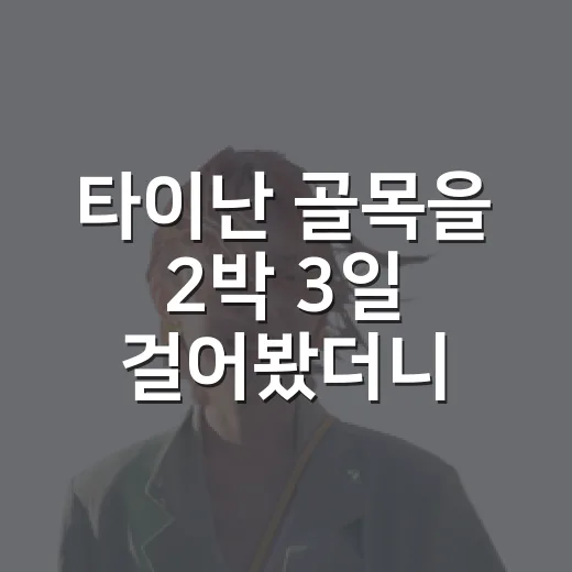 타이난 골목을 2박 3일 걸어봤더니, 해외여행이 조금 조용해졌다 - 요약