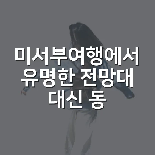 미서부여행에서 유명한 전망대 대신 동네 길을 걸어봤더니 - 요약