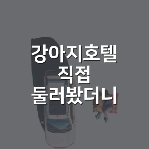 강아지호텔 직접 둘러봤더니, 여행보다 먼저 보인 동네의 조용한 기준 - 요약
