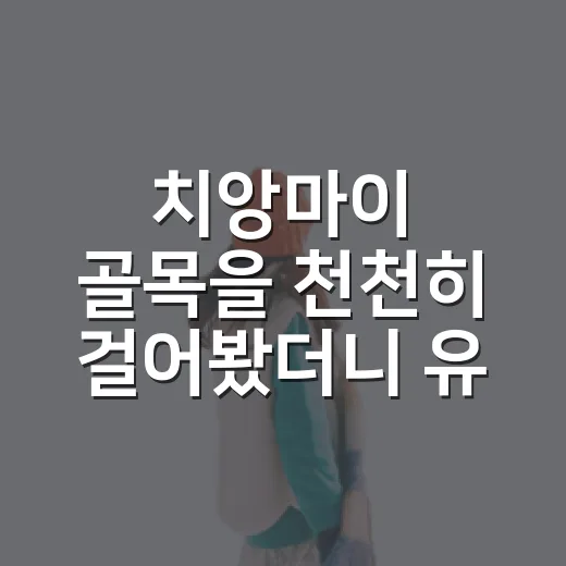 치앙마이 골목을 천천히 걸어봤더니 유명한 것보다 오래 남은 장면들 - 요약
