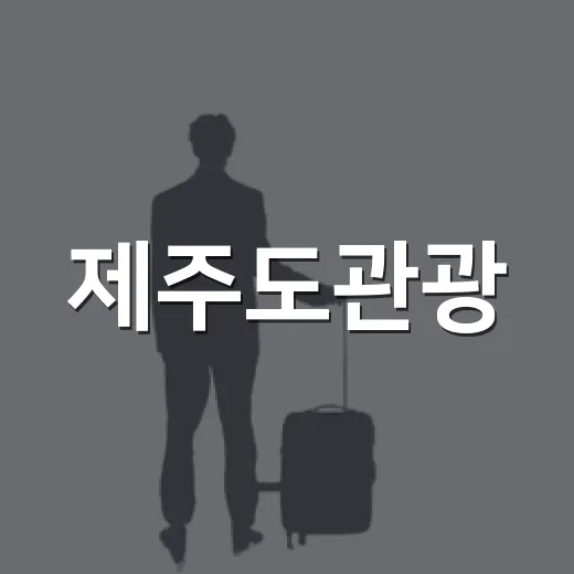 제주도관광, 유명 코스 대신 동네길로 걸어봤더니 보인 것들 - 요약