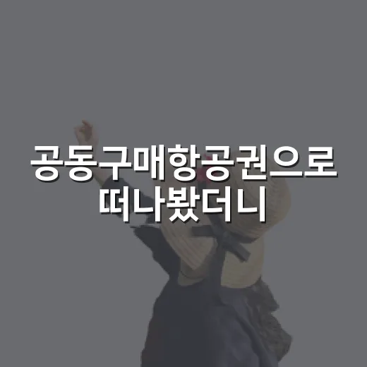 공동구매항공권으로 떠나봤더니, 여행은 조금 느슨해졌다 - 요약