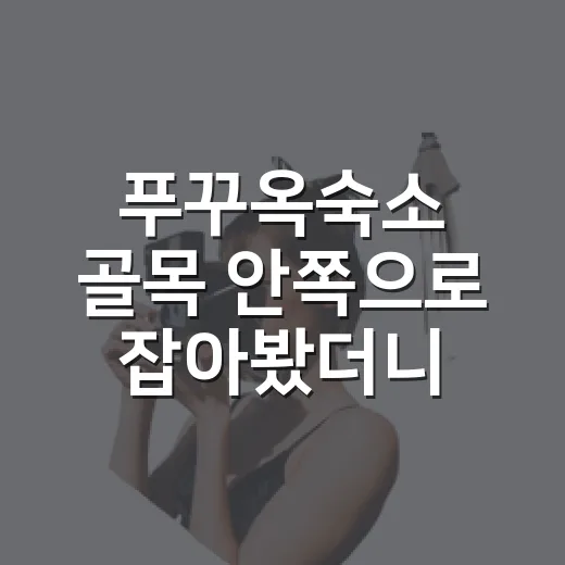 푸꾸옥숙소 골목 안쪽으로 잡아봤더니 보였던 조용한 아침 - 요약