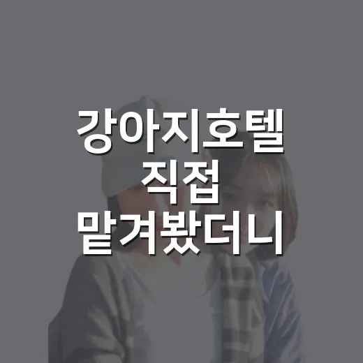 강아지호텔 직접 맡겨봤더니, 여행 전날 마음이 조금 덜 흔들렸다 - 요약