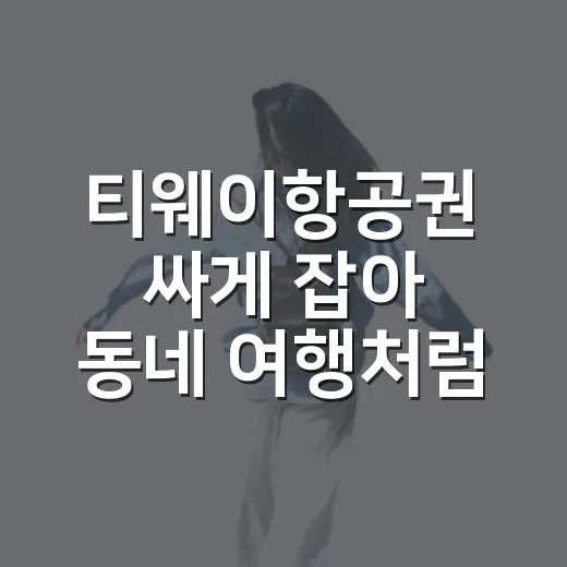 티웨이항공권 싸게 잡아 동네 여행처럼 다녀온 지방 공항의 진짜 이야기 - 요약