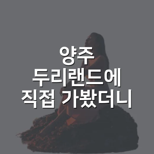 양주 두리랜드에 직접 가봤더니, 오래된 놀이공원보다 동네 하루가 먼저 보였다 - 요약