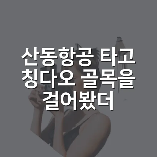 산동항공 타고 칭다오 골목을 걸어봤더니, 공항보다 조용했던 하루 - 요약
