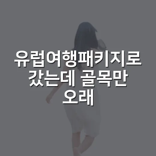 유럽여행패키지로 갔는데 골목만 오래 기억난 후기 - 요약