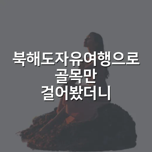북해도자유여행으로 골목만 걸어봤더니 보인 조용한 얼굴들 - 요약