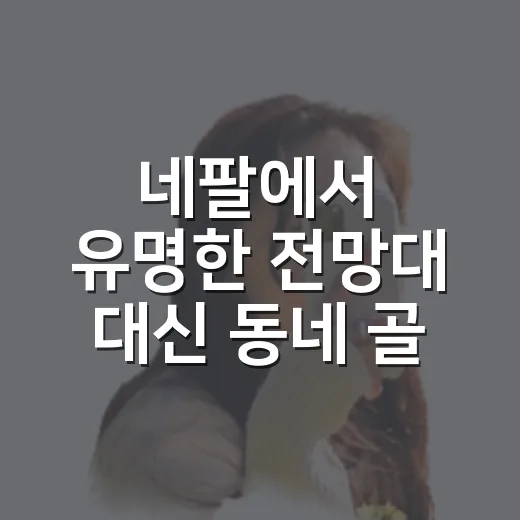 네팔에서 유명한 전망대 대신 동네 골목을 걸어봤더니
