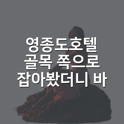 영종도호텔 골목 쪽으로 잡아봤더니 바다가 늦게 보였다 - 요약