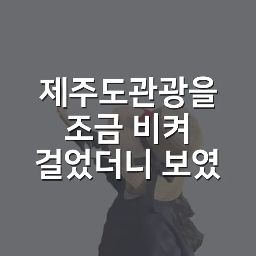 제주도관광을 조금 비켜 걸었더니 보였던 동네 길 후기 - 요약