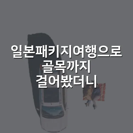 일본패키지여행으로 골목까지 걸어봤더니, 의외로 조용했던 순간들 - 요약